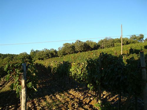 Agriturismo Il Villino Fonterutoli Zewnętrze zdjęcie