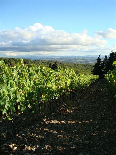 Agriturismo Il Villino Fonterutoli Zewnętrze zdjęcie